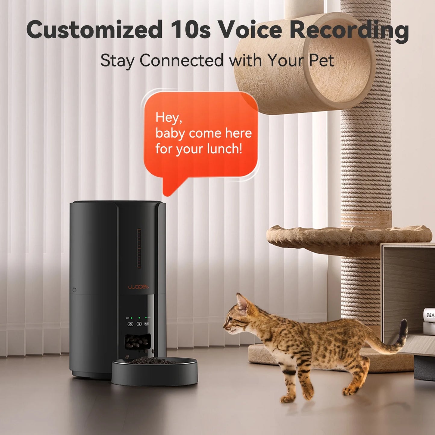 Automatic Pet Feeder with Portion Control, Meal Call, and Backup Power, Black