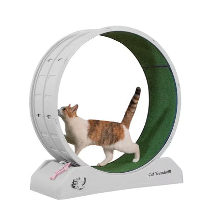 Lockable Large Cat Exercise Wheel Treadmill