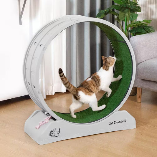 Lockable Large Cat Exercise Wheel Treadmill