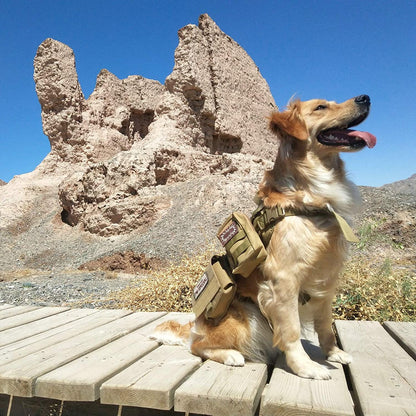 "Commando Canine Camo Vest: The Ultimate Pupper Gear for Secret Missions XL"