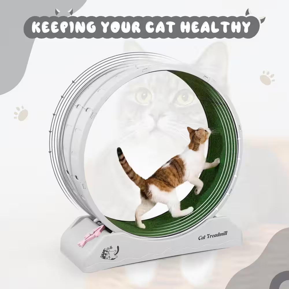 Lockable Large Cat Exercise Wheel Treadmill