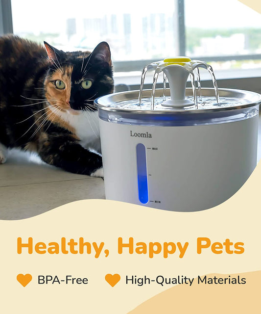 Pet Water Fountain: 85oz/2.5L Automatic Dispenser with LED Lights - Stainless Steel, 2 Filters